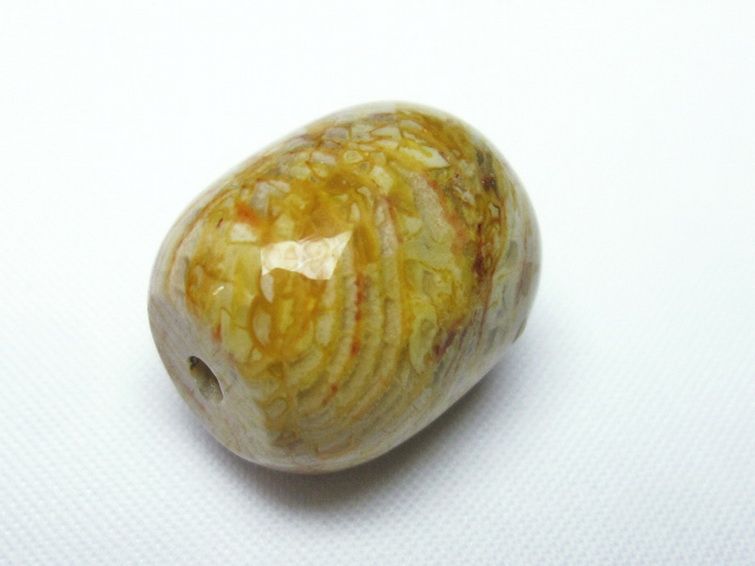 フォッシルコーラル 円柱形 ビーズ 化石珊瑚[T155-2024] 3枚目