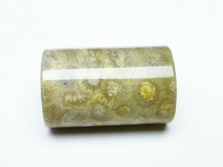 フォッシルコーラル 円柱形 タンブル（穴なし） 化石珊瑚[T155-2150] 2枚目