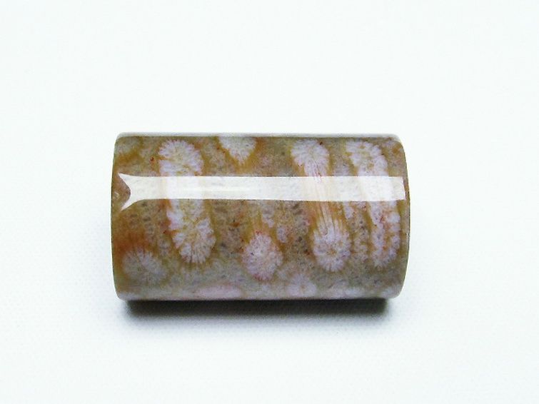 フォッシルコーラル 円柱形 タンブル（穴なし） 化石珊瑚[T155-2187] 2枚目
