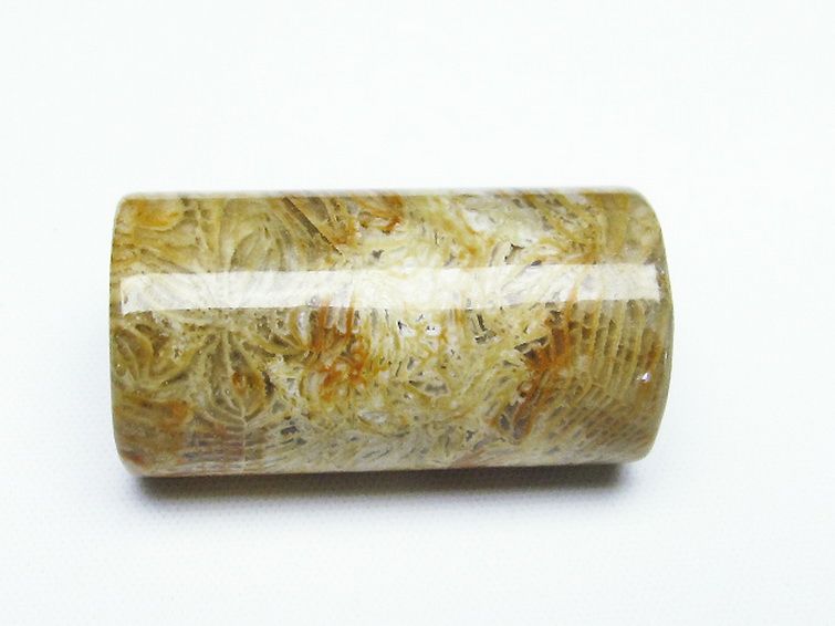 フォッシルコーラル 円柱形 タンブル（穴なし） 化石珊瑚[T155-2206] 2枚目