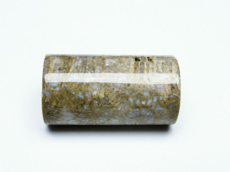 フォッシルコーラル 円柱形 タンブル（穴なし） 化石珊瑚[T155-2226] 2枚目