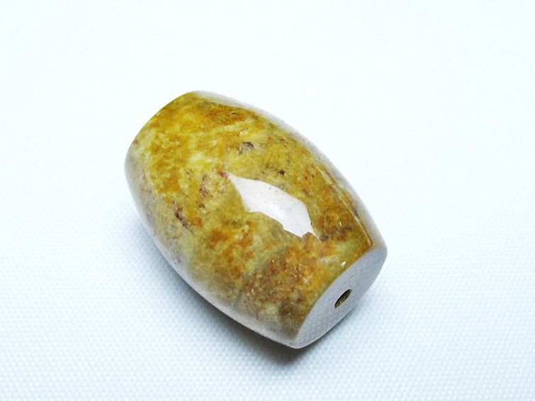 フォッシルコーラル 天珠 化石珊瑚[T155-2267] 3枚目