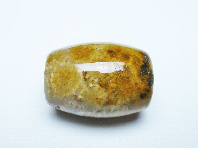 フォッシルコーラル 天珠 化石珊瑚[T155-2276] 2枚目