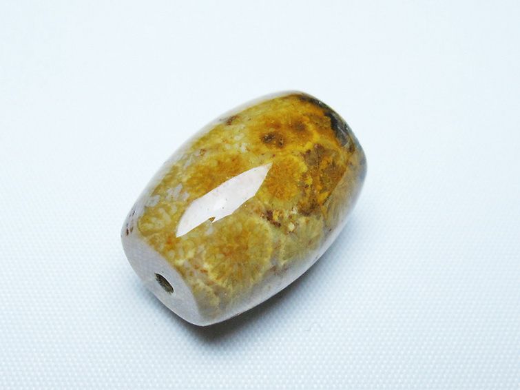 フォッシルコーラル 天珠 化石珊瑚[T155-2276] 3枚目