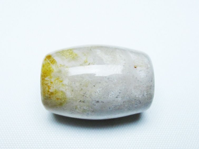 フォッシルコーラル 天珠 化石珊瑚[T155-2308] 2枚目