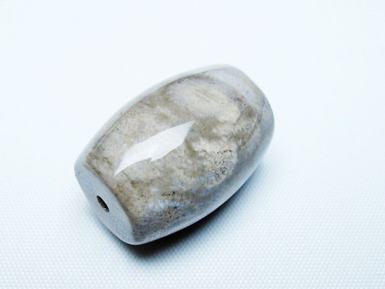 フォッシルコーラル 天珠 化石珊瑚[T155-2326] 3枚目