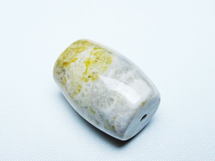 フォッシルコーラル 天珠 化石珊瑚[T155-2329] 3枚目