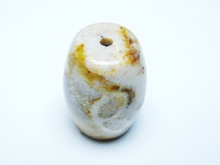 フォッシルコーラル 天珠 化石珊瑚[T155-2335] 1枚目