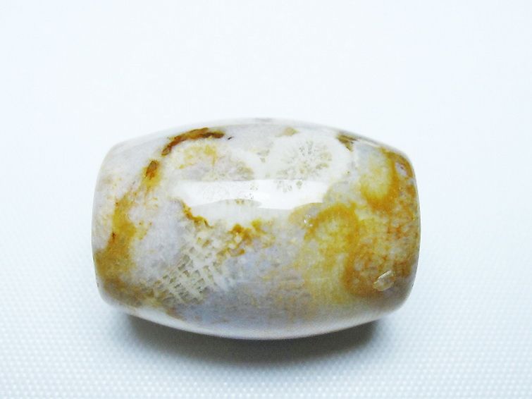 フォッシルコーラル 天珠 化石珊瑚[T155-2335] 2枚目