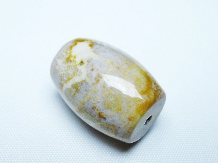 フォッシルコーラル 天珠 化石珊瑚[T155-2335] 3枚目