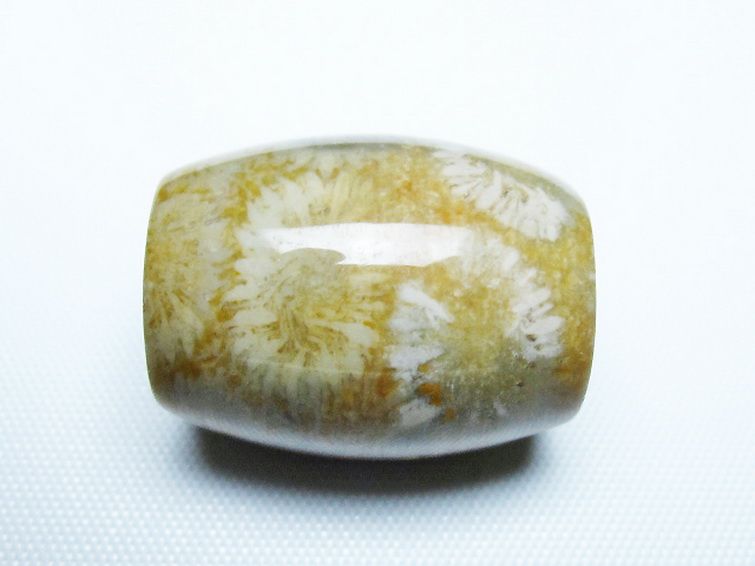 フォッシルコーラル 天珠 化石珊瑚[T155-2341] 2枚目