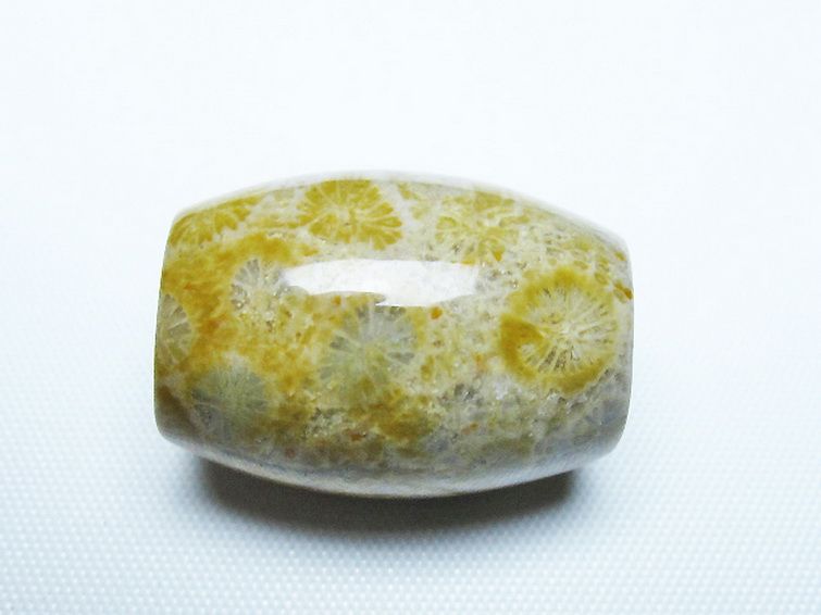 フォッシルコーラル 天珠 化石珊瑚[T155-2389] 2枚目