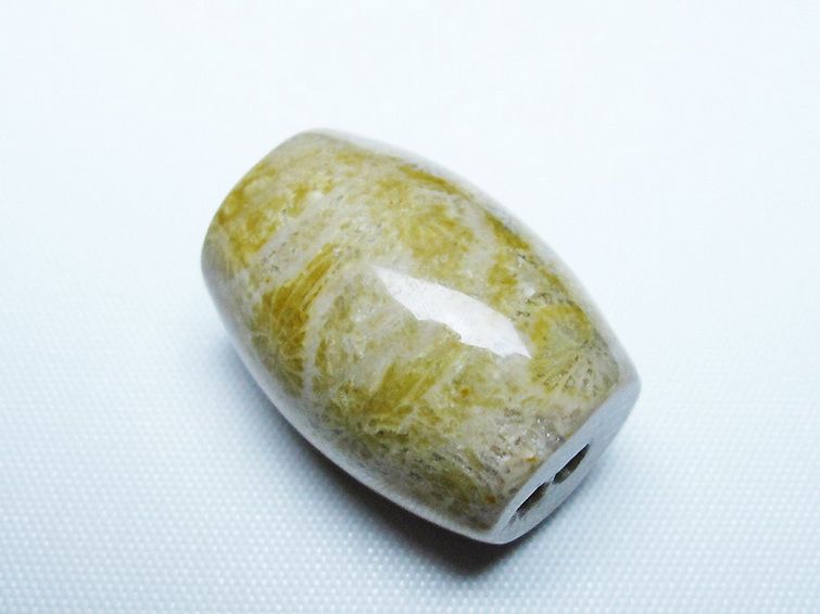 フォッシルコーラル 天珠 化石珊瑚[T155-2389] 3枚目