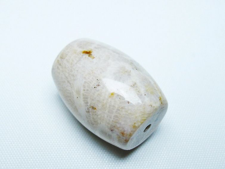 フォッシルコーラル 天珠 化石珊瑚[T155-2403] 3枚目