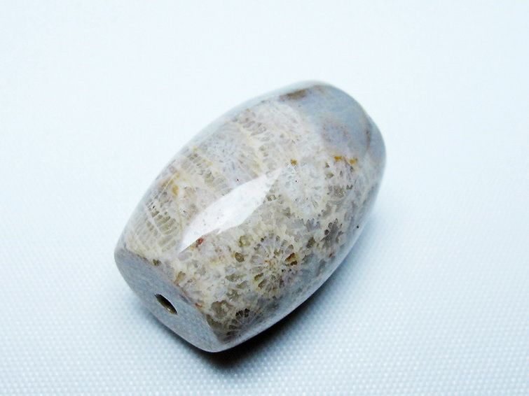 フォッシルコーラル 天珠 化石珊瑚[T155-2404] 3枚目