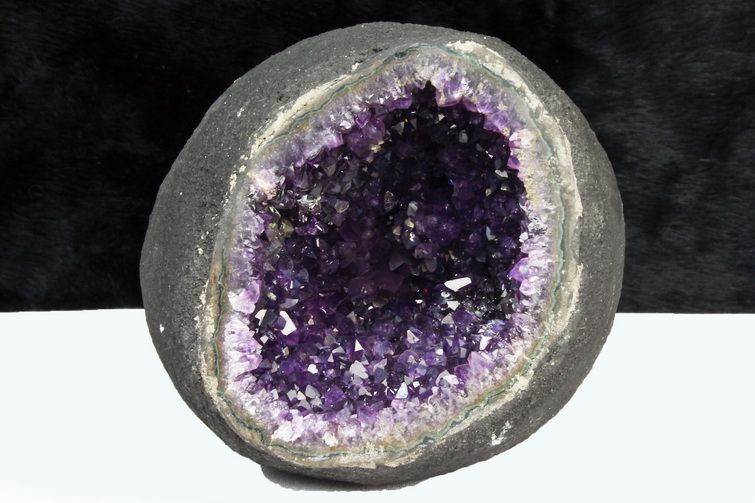 1.5Kgウルグアイ産 サークルジオード アメジストドーム [t466-1834] 1枚目