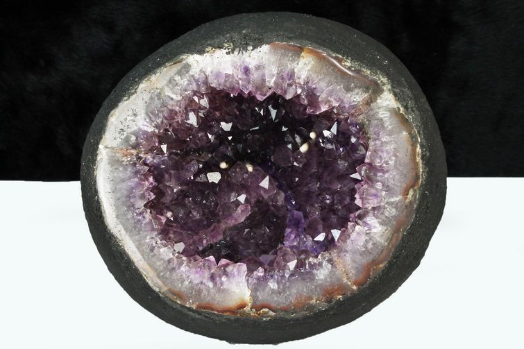 1.8Kgウルグアイ産 サークルジオード アメジストドーム [t466-1835] 1枚目