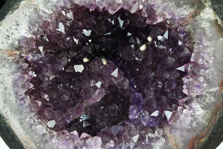 1.8Kgウルグアイ産 サークルジオード アメジストドーム [t466-1835] 2枚目