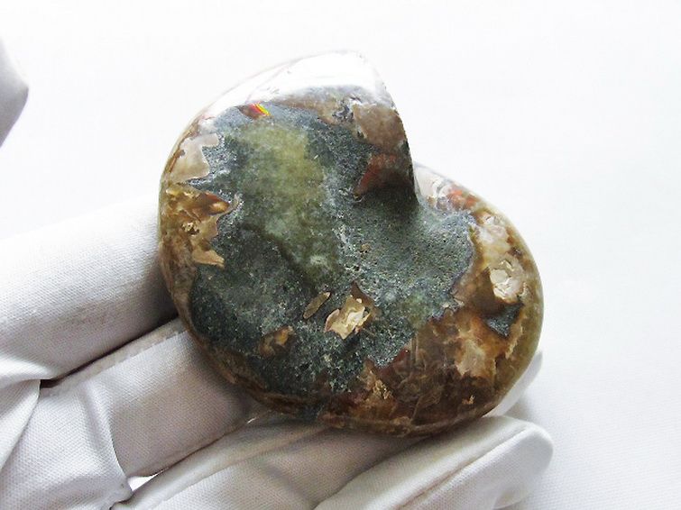 虹入りアンモナイト化石[T570-4773] 2枚目