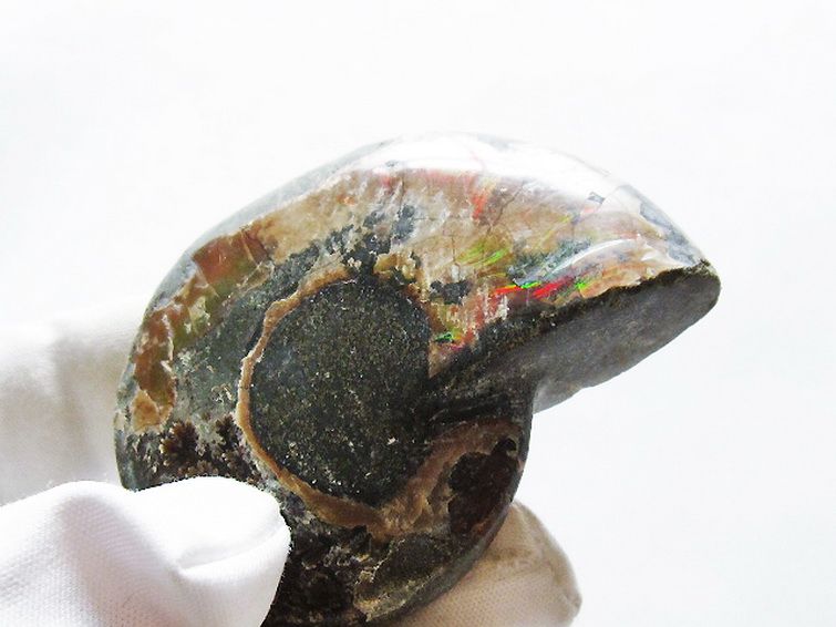 虹入りアンモナイト化石[T570-4803] 2枚目
