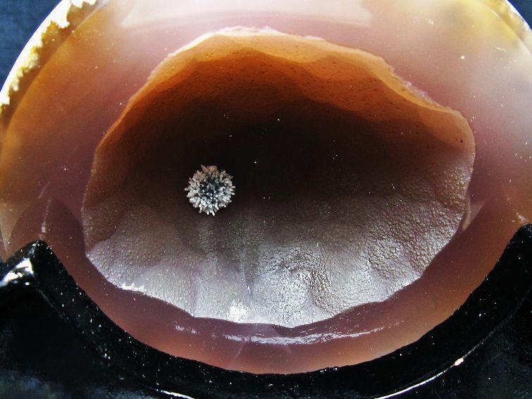 ペア水晶トレジャーメノウ[T604-7776] 3枚目