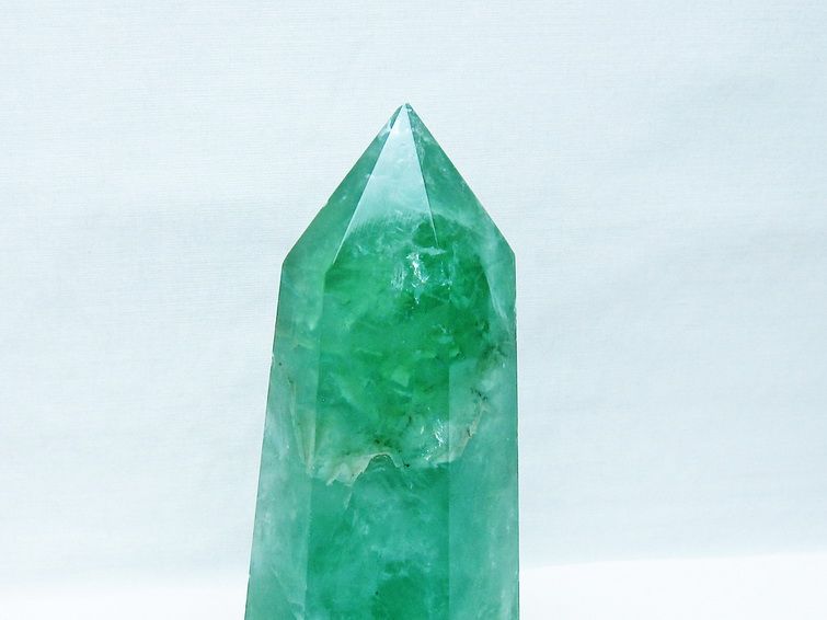 緑柚壺 大疣瑠璃兜 (2406-OB02)：アストロフィツム属 ※実生 | 万緑 BAN