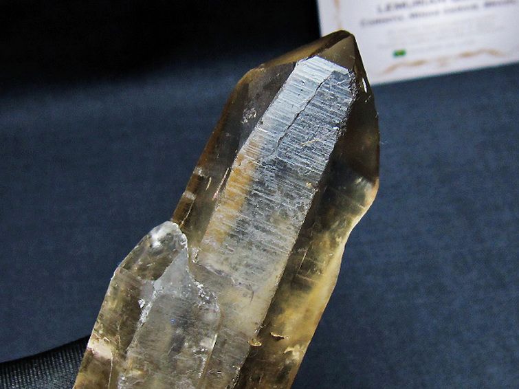 レムリアンシード 水晶原石 ミナスジェライス州コリント産 ※証明書付き[T641-1940] 3枚目