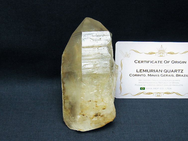シトリン レムリアンシード水晶原石 ミナスジェライス州コリント産 ※証明書付き[T641-2088] 1枚目