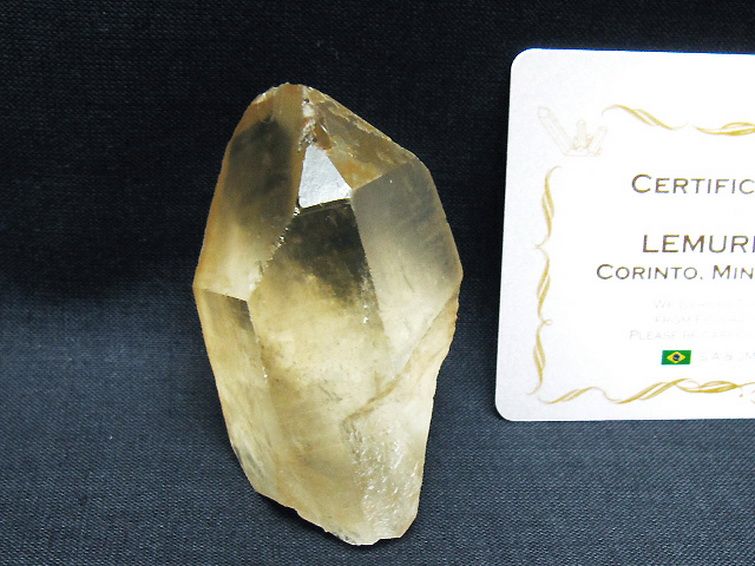 シトリン レムリアンシード水晶原石 ミナスジェライス州コリント産 ※証明書付き[T641-2094] 1枚目