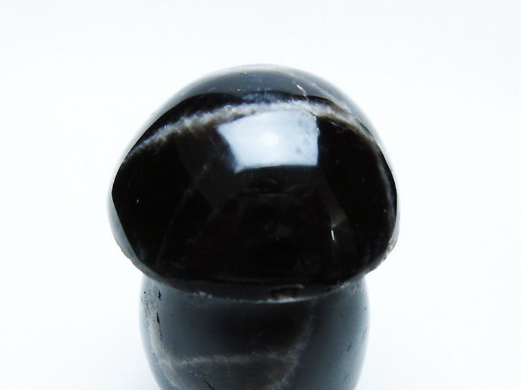 モリオン 純天然 黒水晶 きのこ 置物[T653-4156] 2枚目