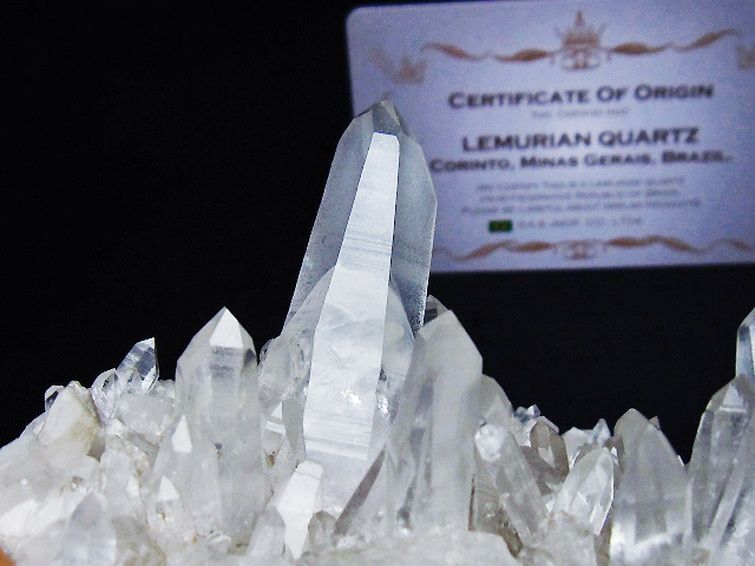 レムリアンシード 水晶 クラスター ミナスジェライス州コリント産 ※証明書付き[T759-1318] 3枚目